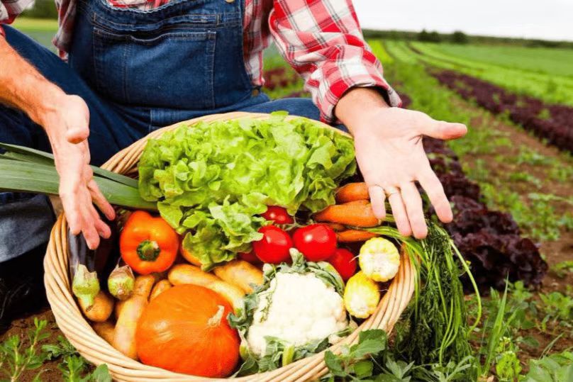 初级农产品定义及其经营许可证要求