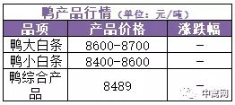 8月10日水禽行情简报 探底回升，反转上扬