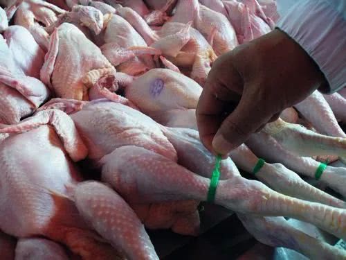 新冠疫情危及养殖业 家禽销售困境透视