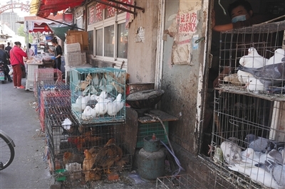 农贸市场边缘的利刃 活禽现杀现象背后的家禽销售乱象与治理思考