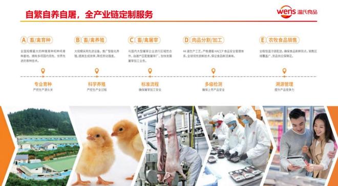全国销售规模第一 温氏佳味盐焗鸡的餐饮供应链突围密码