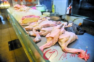 杭州聚焦家禽产业变革 推进市区冷链销售供应的战略路径